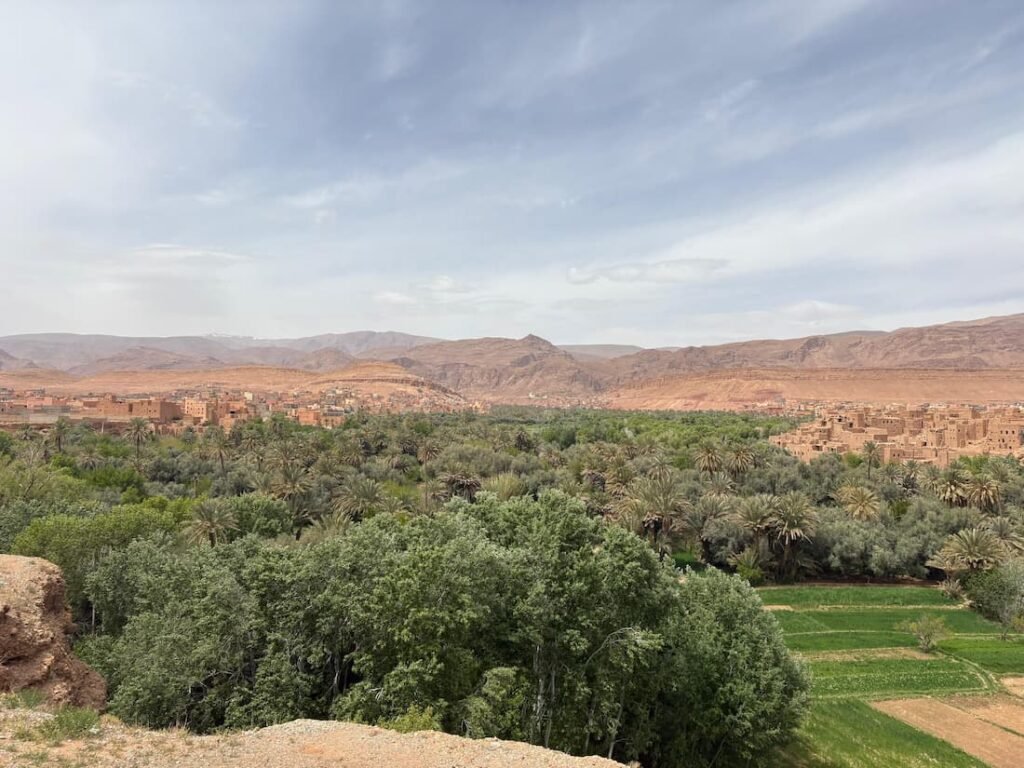 Palm grove oasis landscape during a Marrakech to Fes desert tour in Morocco