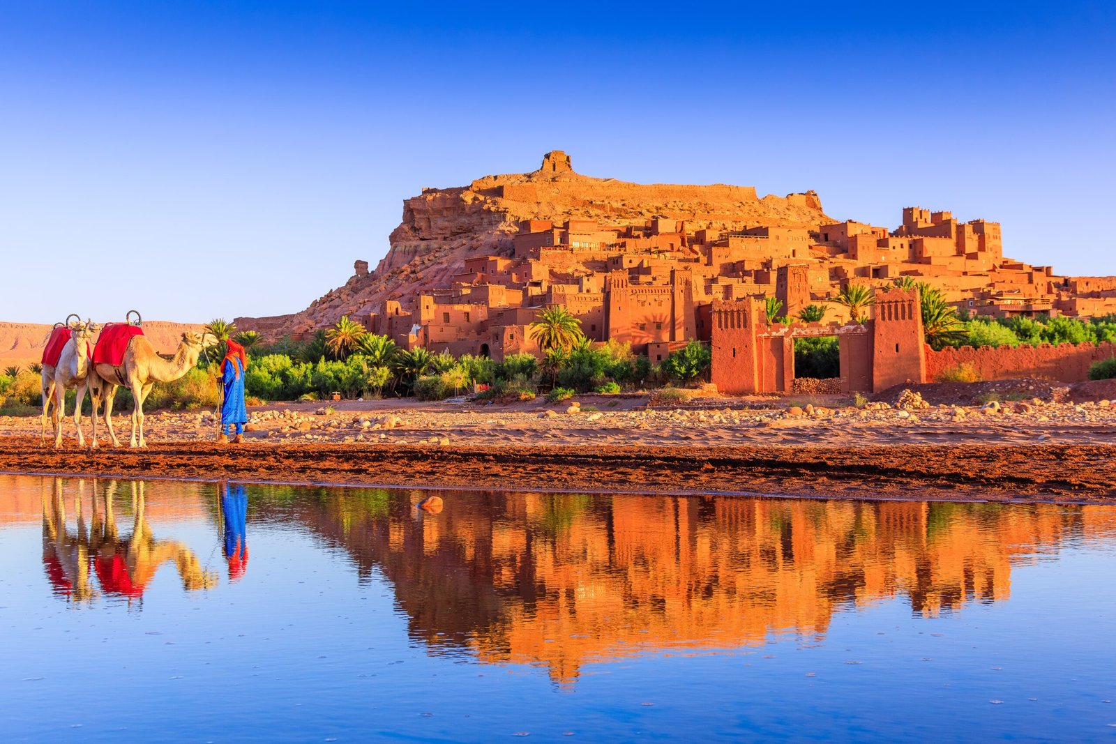 Ouarzazate full day trip