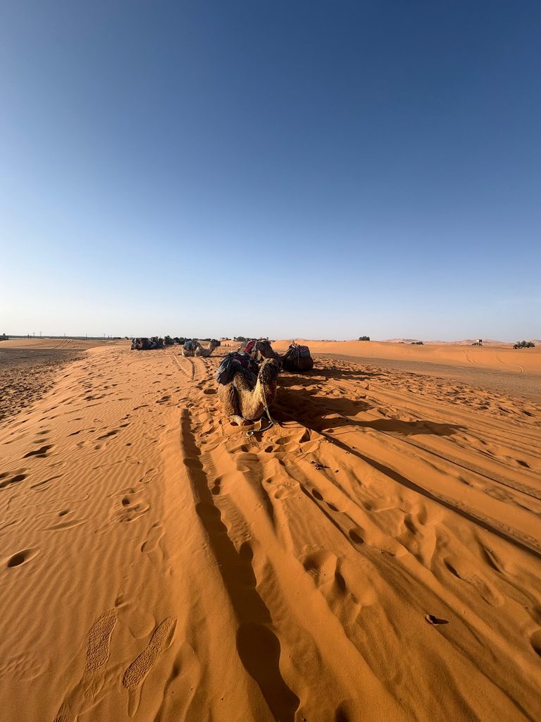 3 Day Desert Tour from Marrakech