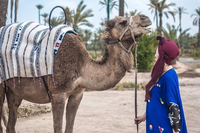 Enjoy the best camel ride in the Marrakech Palmeraie oasis